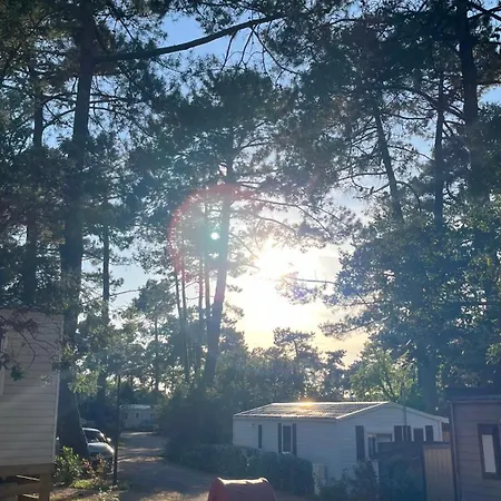 Petit Cocon Au Cap Ferret Les Embruns База отдыха