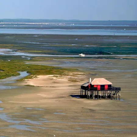Holiday park Petit Cocon Au Cap Ferret Les Embruns Lege-Cap-Ferret