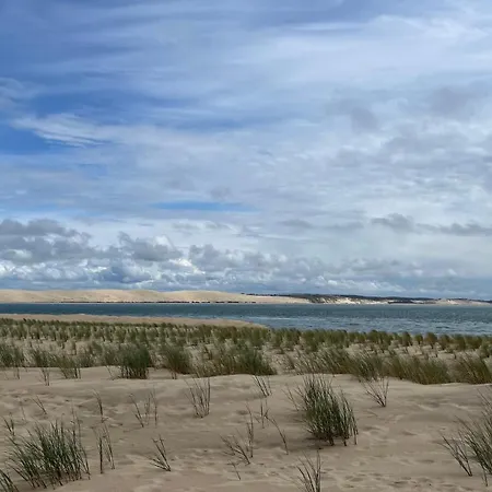 Petit Cocon Au Cap Ferret Les Embruns * Lege-Cap-Ferret