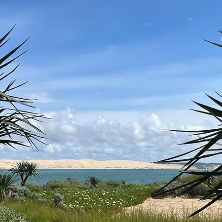 Petit Cocon Au Cap Ferret Les Embruns Holiday park Lege-Cap-Ferret