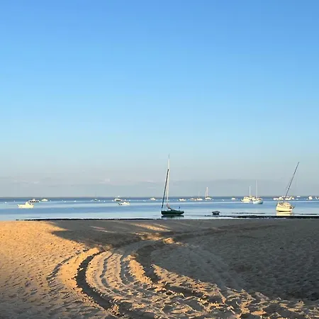 Petit Cocon Au Cap Ferret Les Embruns