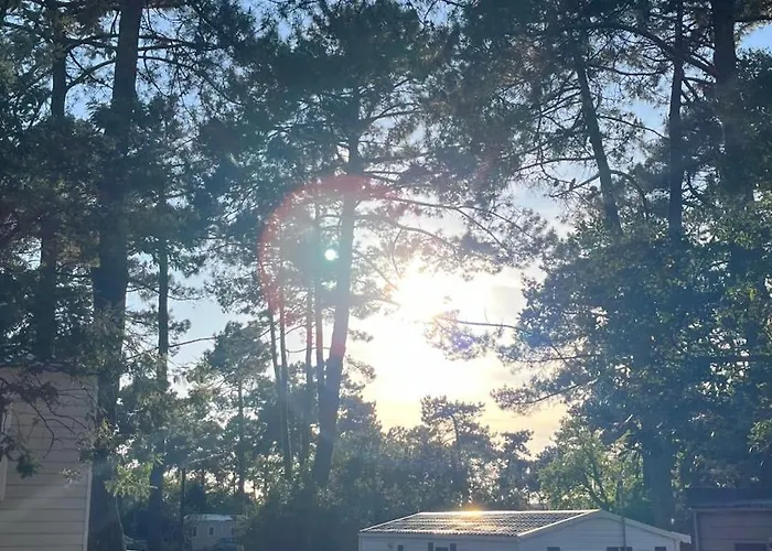 Petit Cocon Au Cap Ferret Les Embruns Feriepark